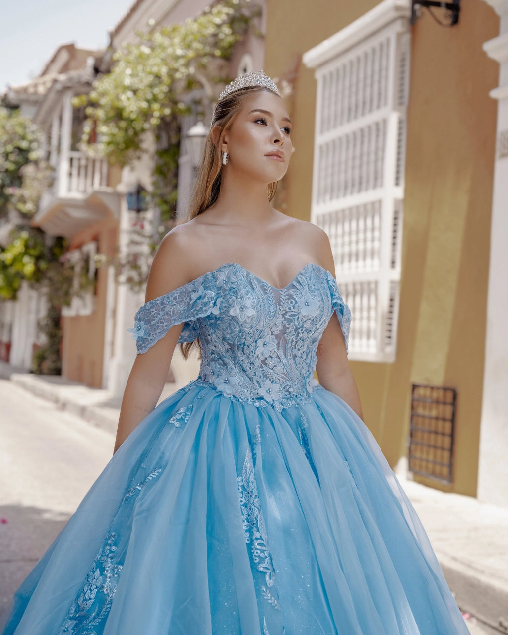 Vestido de 15 años Ref 19