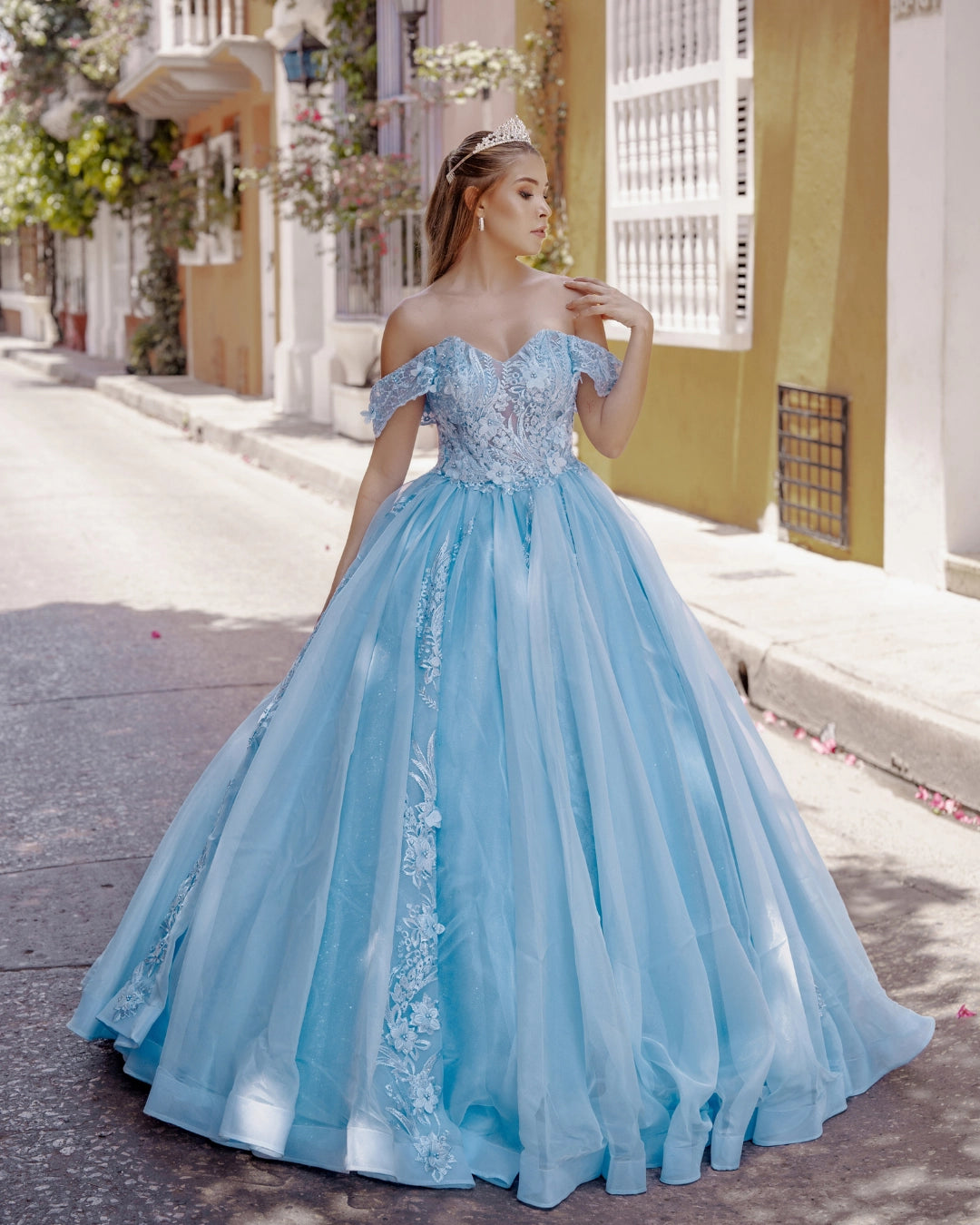 Vestido de 15 años Ref 19